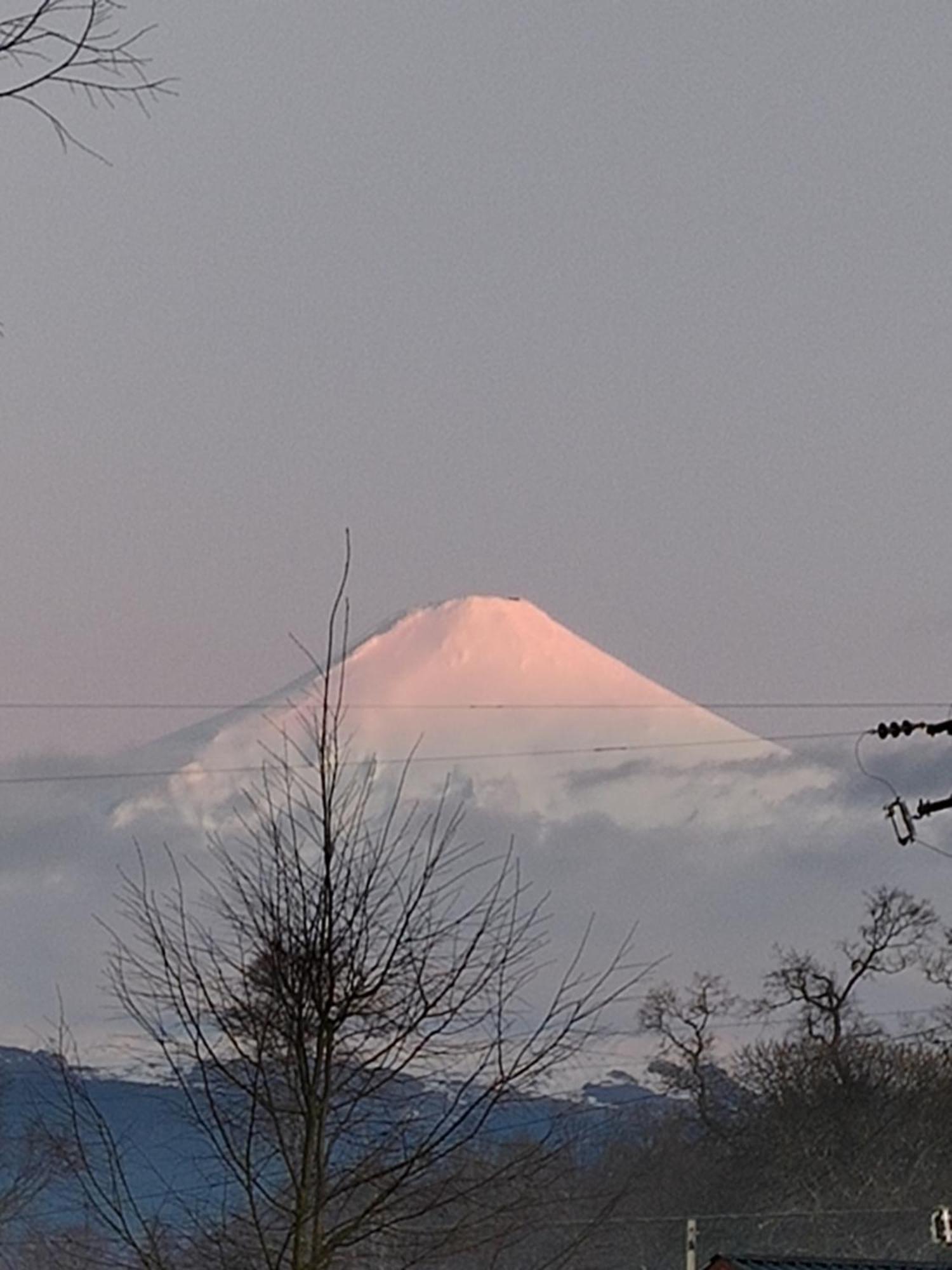 Rustico Pucon Villa Eksteriør billede